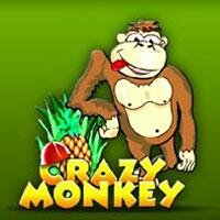 Автомат Crazy Monkey